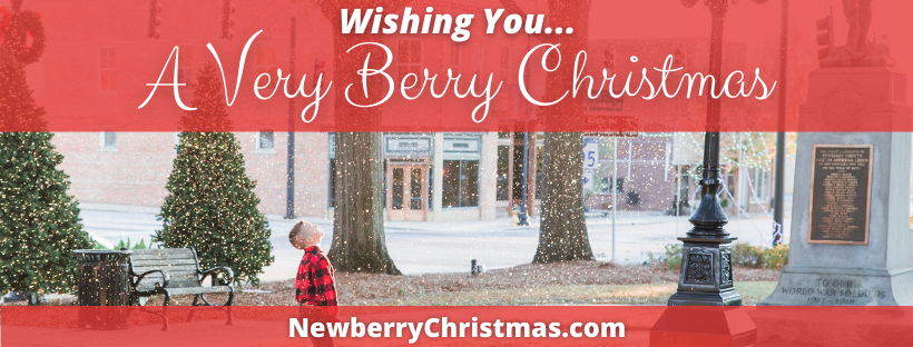 wishing you a very berry christmas newberrychristmas.com young boy looking up at snow in the park in Newberry christmas trees in the background