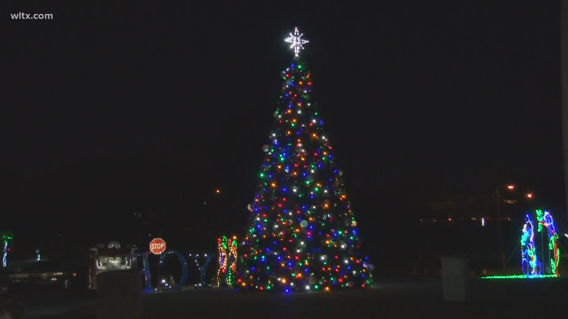 cayce west columbia lit christmas tree at night