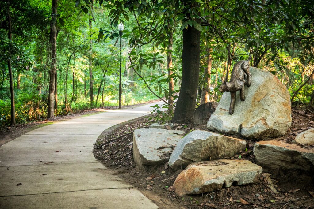 A concrete pathway at boyd island surrounded by green trees, rocks, and a perched bronze bobcast statue