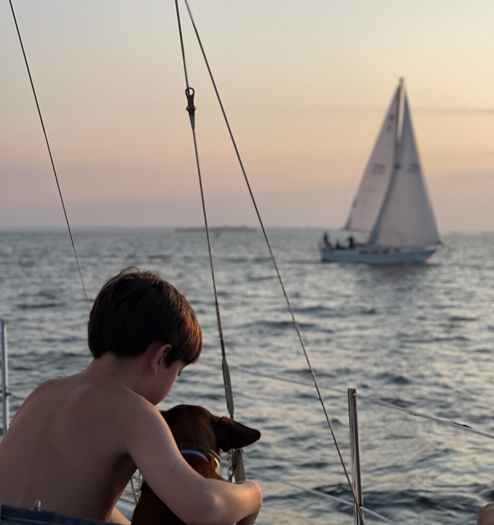 A boy and his dog enjoy a sailboat ride on Lake Murray with Pilot Cove Adventure's charter